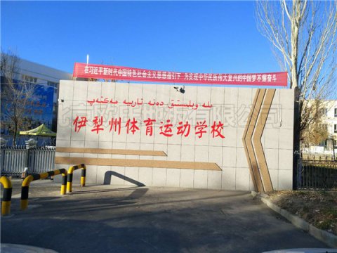 新疆伊犁體?；@球館運動地板案例