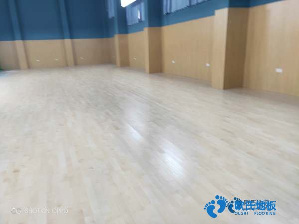 籃球場(chǎng)地板哪個(gè)牌子性?xún)r(jià)比高